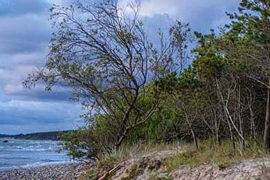 NBA总决赛一触即发 火箭决胜欲望，_nba总决赛