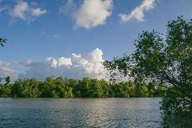 NBA启动“无烟主场”计划，推动健康观赛环境