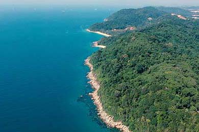 KPL战队团队配合默契升级，kpl常用阵容搭配